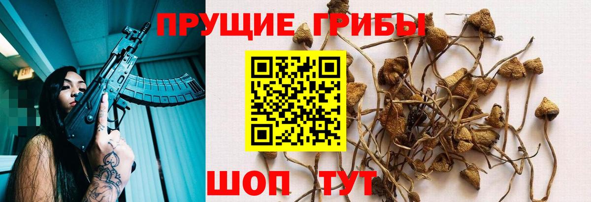 Псилоцибиновые грибы мухоморы  Вход с VPN  Кириши 